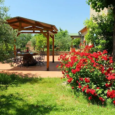 Lucia By Interhome Holiday home Cortona